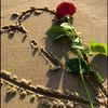israr.khan8480