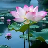 chieu.em.lam.van
