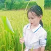vanhuynh282