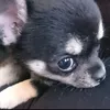 itzhollyboo