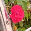 zubir.khan223