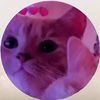 user_e197