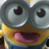 minkas67