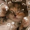 dayanna.meza3