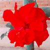 user_us12345678