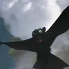 ru_fl3ss
