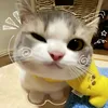 saf_3041