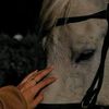 fatima.alhadad3
