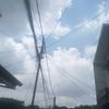 saura_jomblo