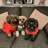 marley.archey.and