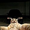 what_it.s_bmw