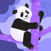 pandakaty50