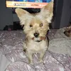 paoo_6660