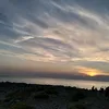auroracipolletta