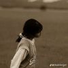 ulva_tengil01