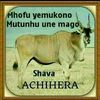 user99700570368660