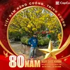 truong.mai834