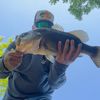 borikenfishing
