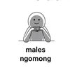 nays.ok1