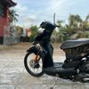 komeng_206