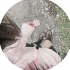 alex_40p