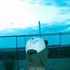 _.michi.ekaa