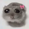 alfinebear