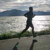 musang_liar.64