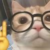 jaque_2210