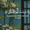hafsa35835