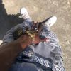 tpsn.4wlplg