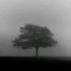 monzt3rz_77