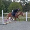 linneasankey