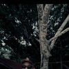 nando.wamafma