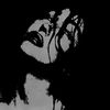 .wtzz_3ve
