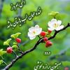 user9224681359571