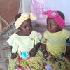 user.borno.gida