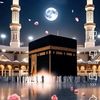 abid.khan89392