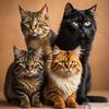 ai_catsfamily
