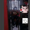 frank.k6291