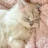 about_yuki