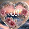 naseemnaseem5118