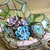 roslunu_dlya_dyshi_