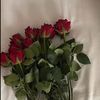 szf_256
