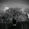 mishgan_38
