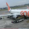 .silva606