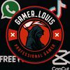 gamer_louis11