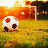 david.zapletal37