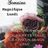 user6273443608073