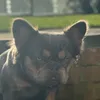 pegggygou